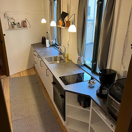 The Cozy Cave Center Apartment Odense