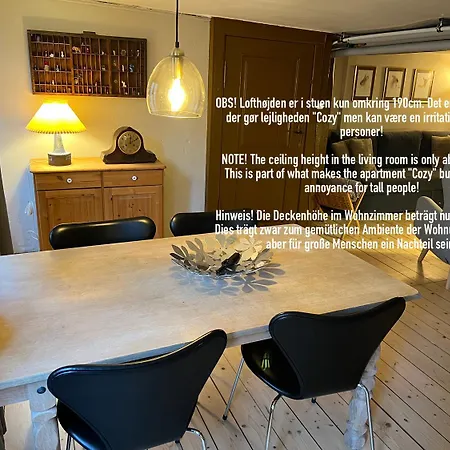 The Cozy Cave Center * Odense