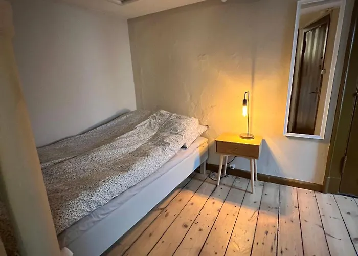 The Cozy Cave Center Apartment Odense