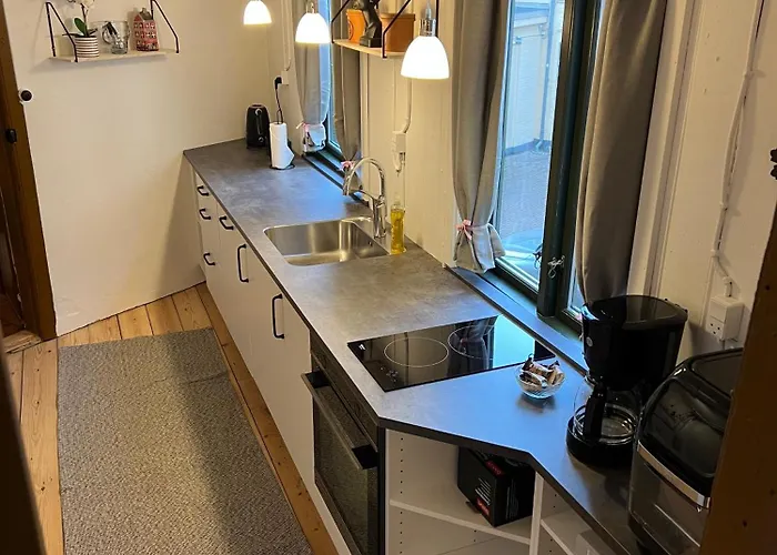 The Cozy Cave Center Apartment Odense