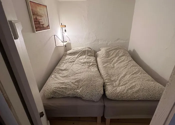 The Cozy Cave Center