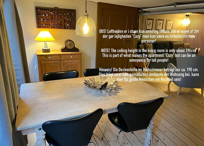 The Cozy Cave Center * Odense